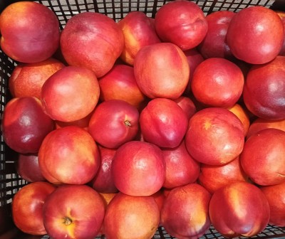 Foto Nettarine Calibro A Origine Grecia Marchio Greek Premium    2